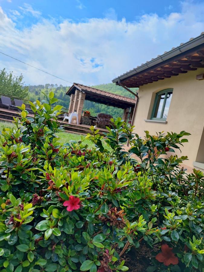 Villa Giulia Fashion B&B Strada in Chianti ภายนอก รูปภาพ